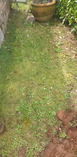 Dvoriste u Lovranu prije umjetne trave