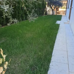 Obiteljska kuca Porec dvoriste umjetna trava 1 