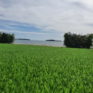 kafic bi village fazana 10 