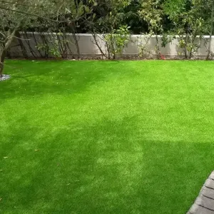 Dvori&scaron;te ispred kamene ograde