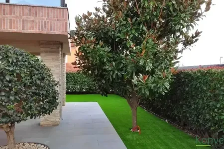 Maslina i kućica u dvori&scaron;tu