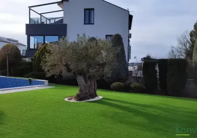 Medulin, dvorište kuće za odmor, Samba