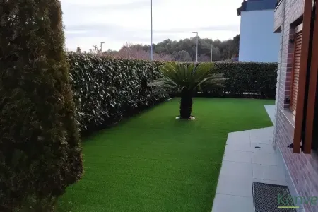 Palma u dvori&scaron;tu