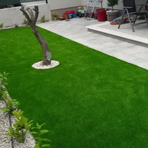 Stablo na zelenoj travi