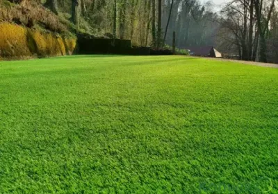 Obiteljska kuća, Tuškanac, dvorište
