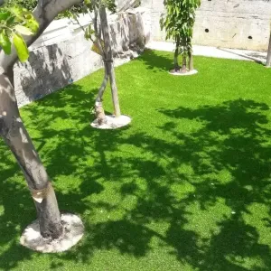 Stabla na zelenoj travi u dvori&scaron;tu