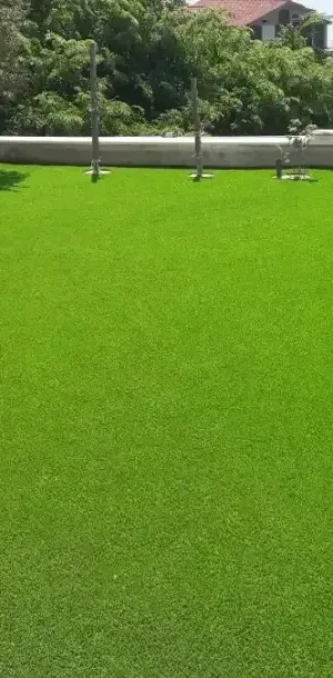 Zelena umjetna trava u dvori&scaron;tu