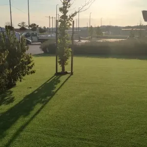 Zalazak sunca koji obasjava umjetnu travu