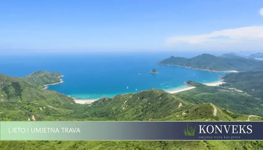 More i šuma na ljeto